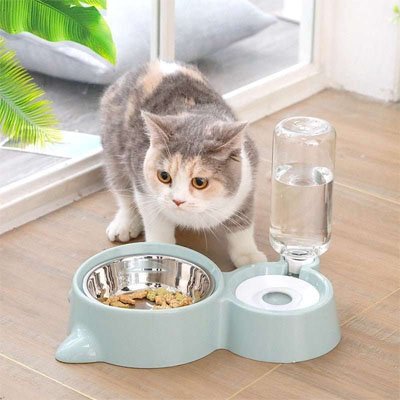 Distributeur eau et croquettes pour chat bleu vert