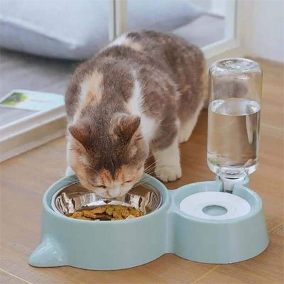 Distributeur eau et croquettes pour chat mange face