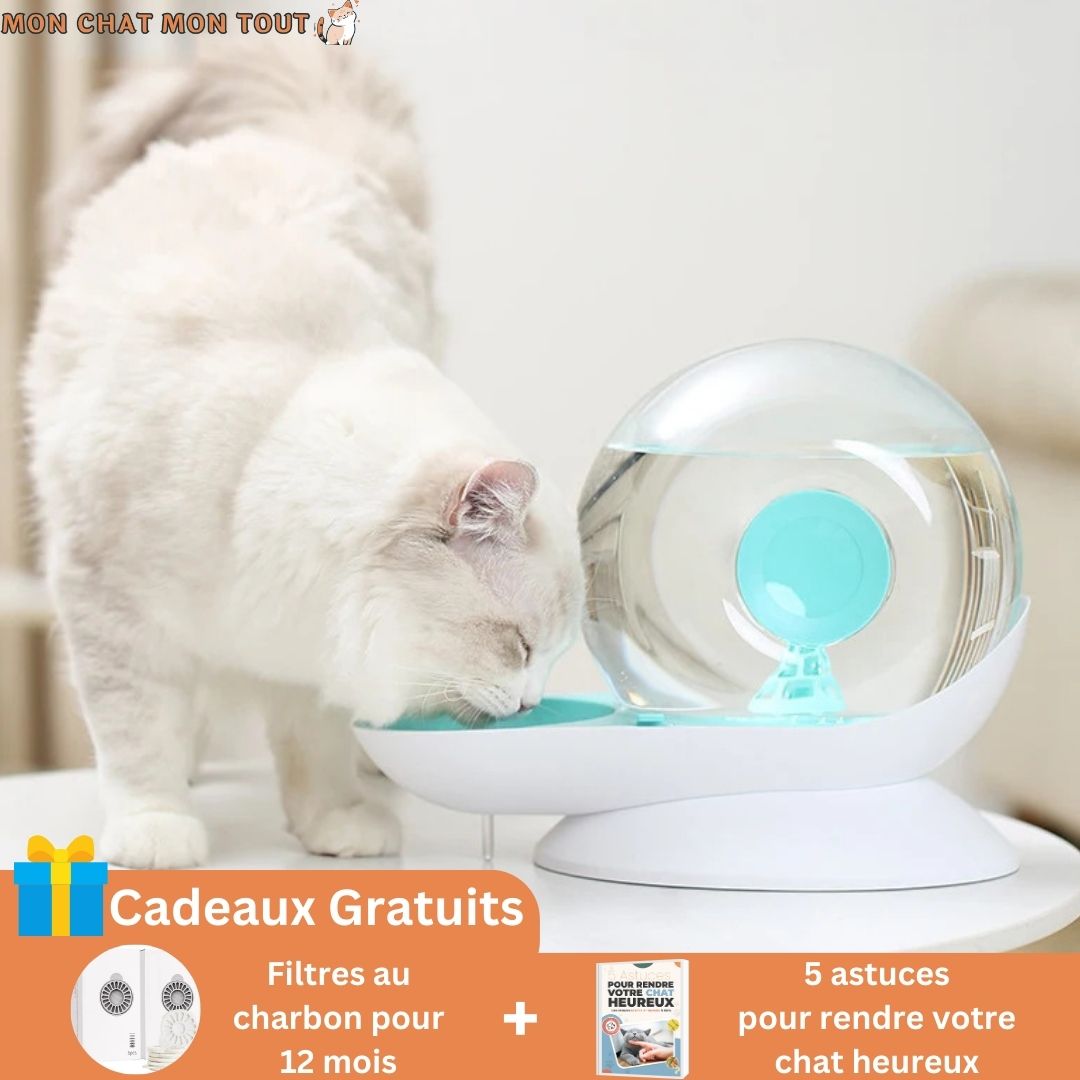 fontaine-a-eau-chat-blanc-vert-OFFRE