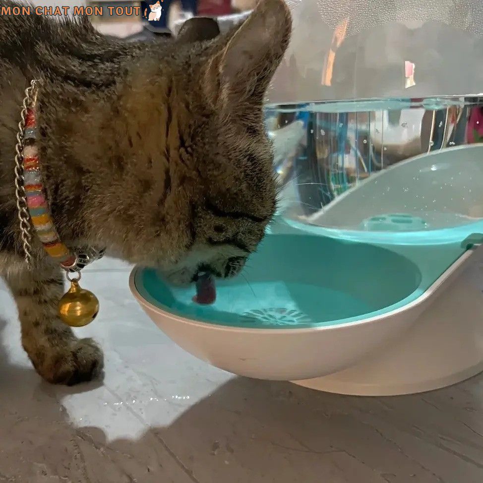 fontaine-a-eau-chat-bleu-blanc-boit