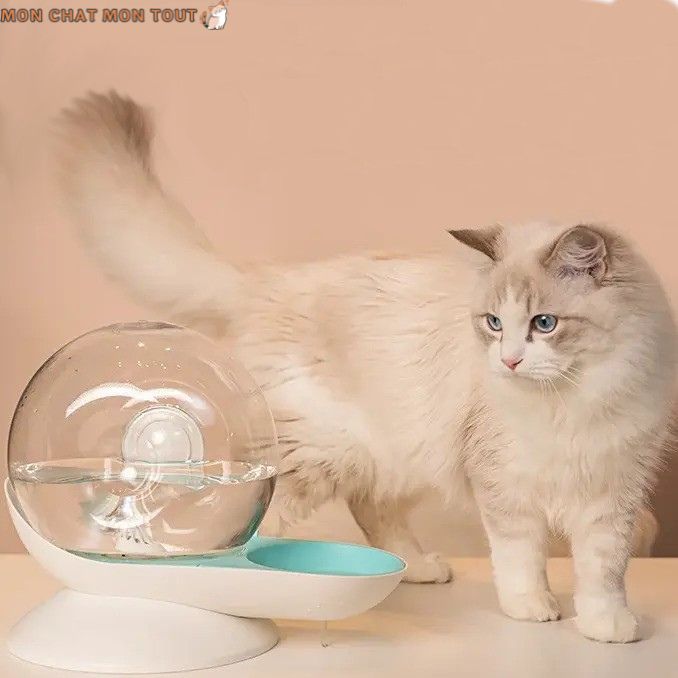 fontaine-a-eau-chat-creme