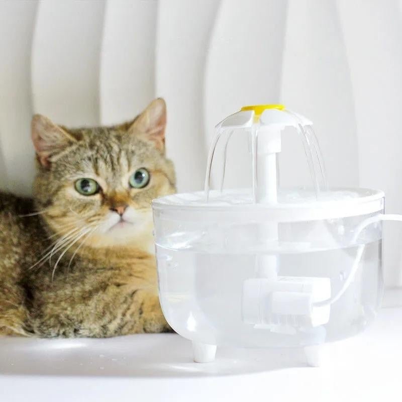 Fontaine à eau chat avec chat