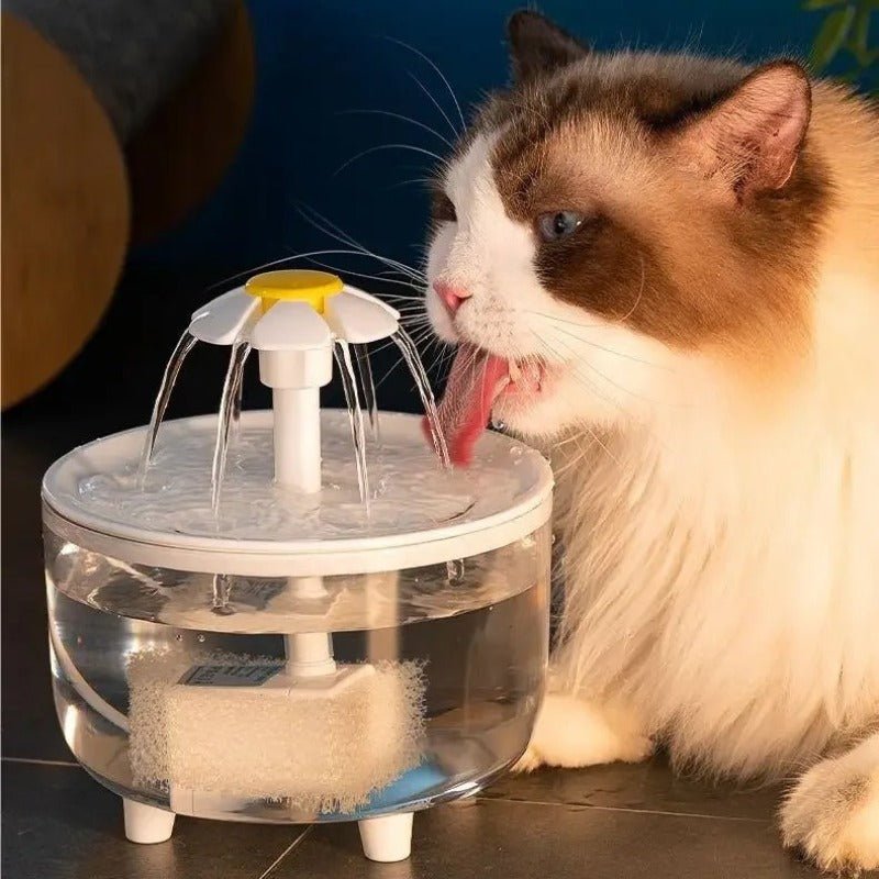 Fontaine à eau chat transparent blanc