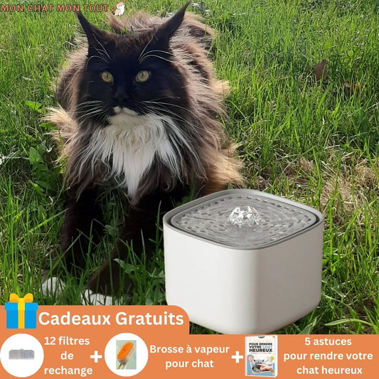 Fontaine à eau chat | MonChatMaLeau™ - Mon chat mon tout