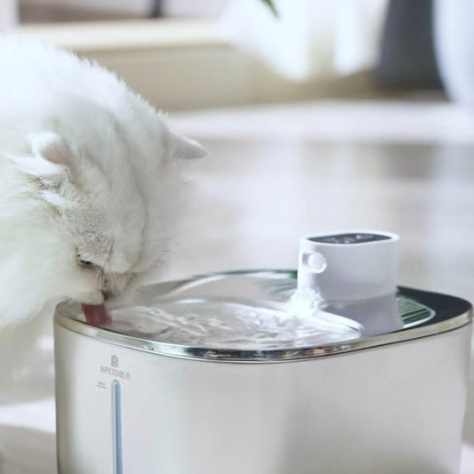 Fontaine a eau chat | MonChatMovEau™ - Mon chat mon tout