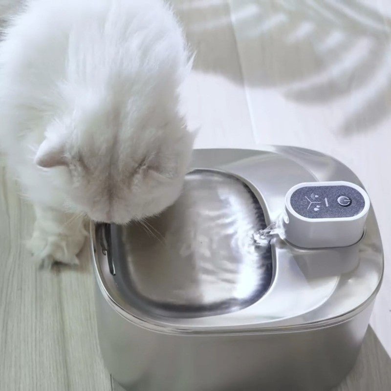 Fontaine a eau chat | MonChatMovEau™ - Mon chat mon tout