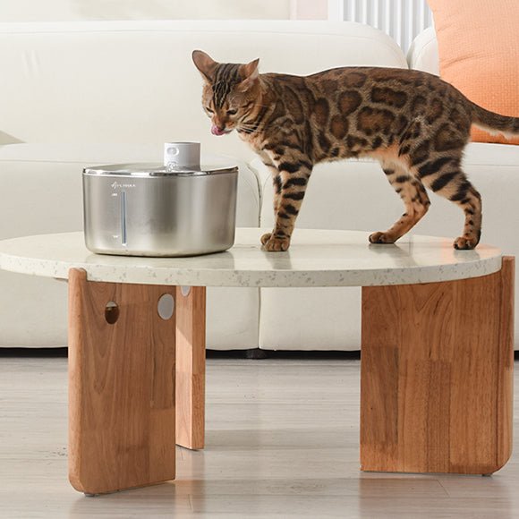 Fontaine a eau chat | MonChatMovEau™ - Mon chat mon tout