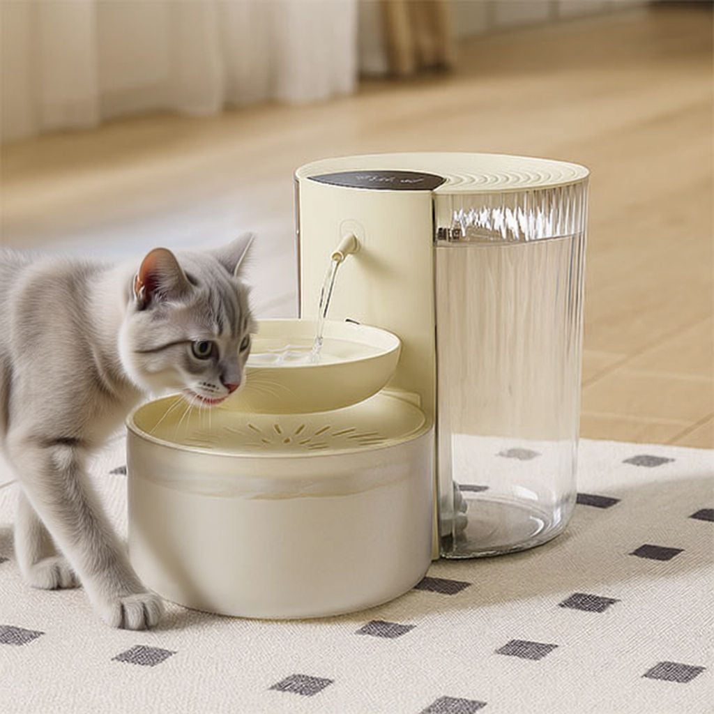 fontaine a eau chat monchatopure élégance salon