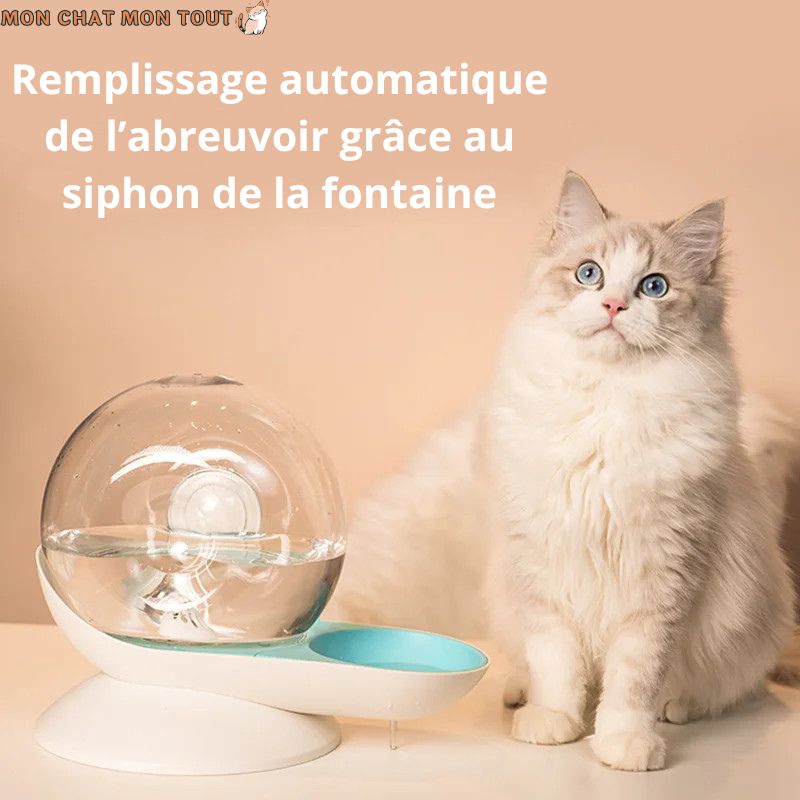 fontaine-a-eau-chat-remplissage