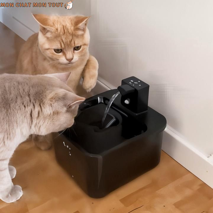 fontaine-à-eau-chat-roux-jouent