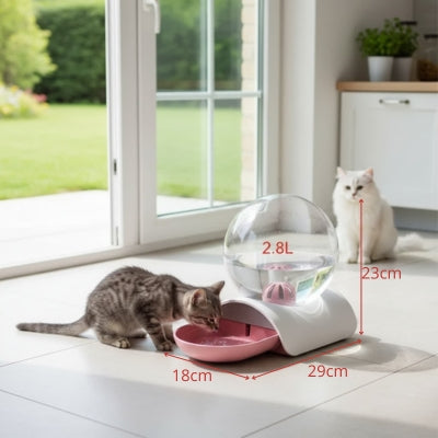 fontaine à eau chat sans électricité MonChatNaturEau dimensions