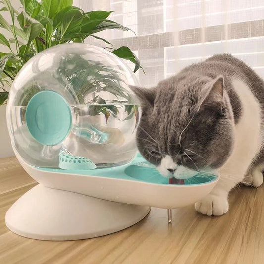 Fontaine à eau chat sans électricité vert clair