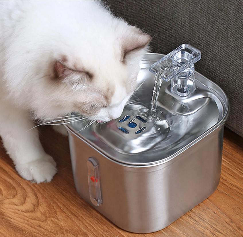 fontaine-à-eau-chat-hydratation