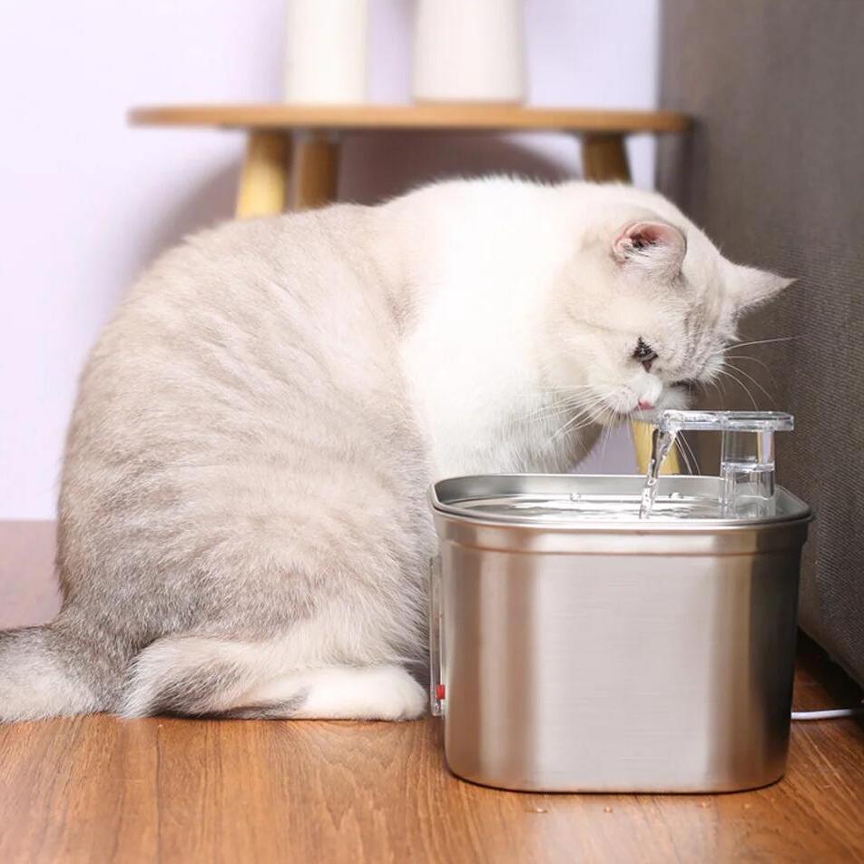 fontaine-à-eau-chat-côté