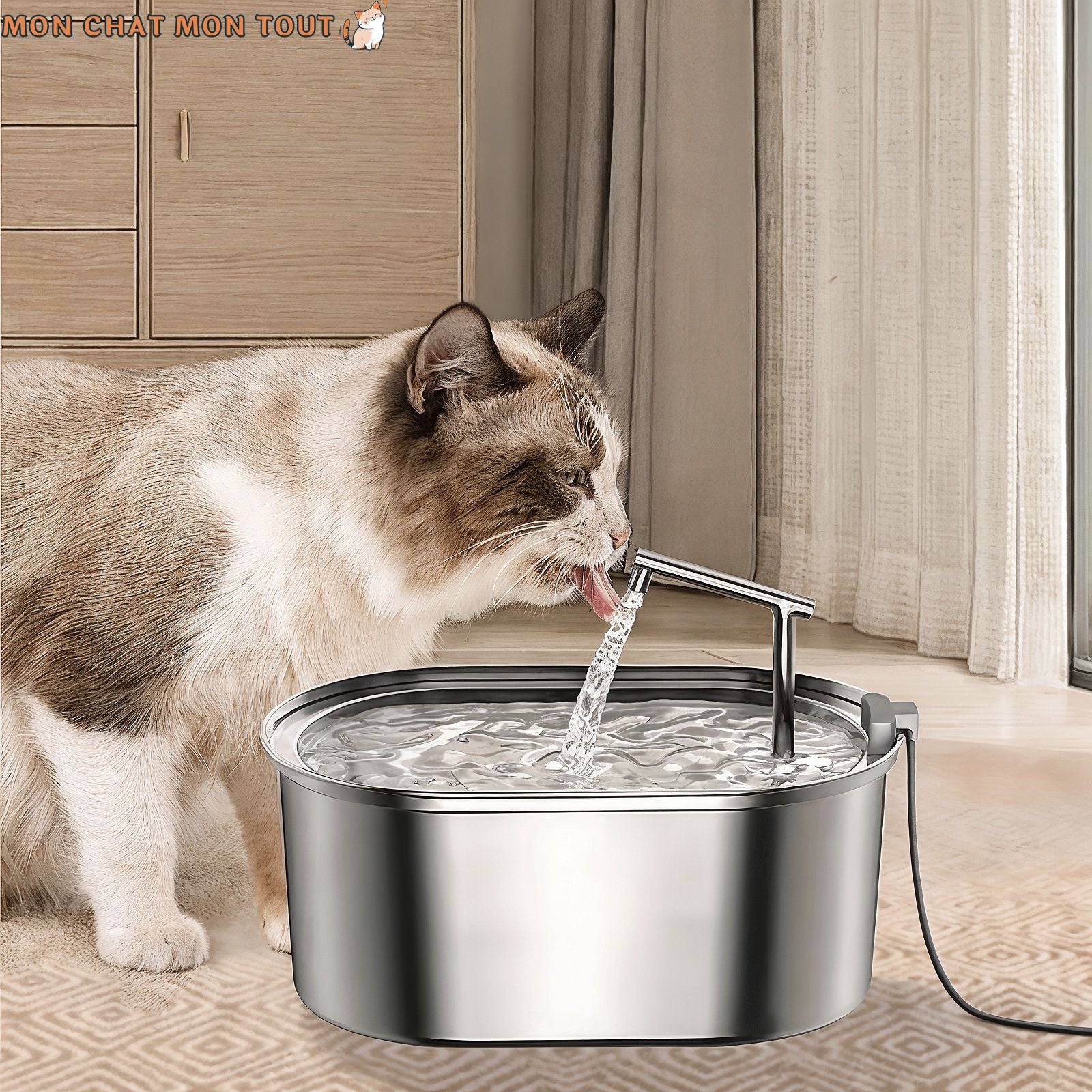 fontaine-a-eau-pour-chat-boit