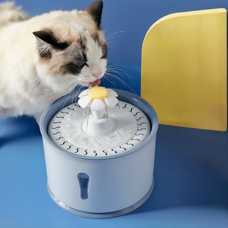 Fontaine a eau pour chat bleu