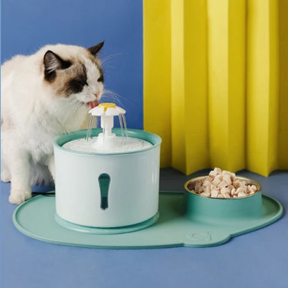 Fontaine a eau pour chat ensemble avec gamelle