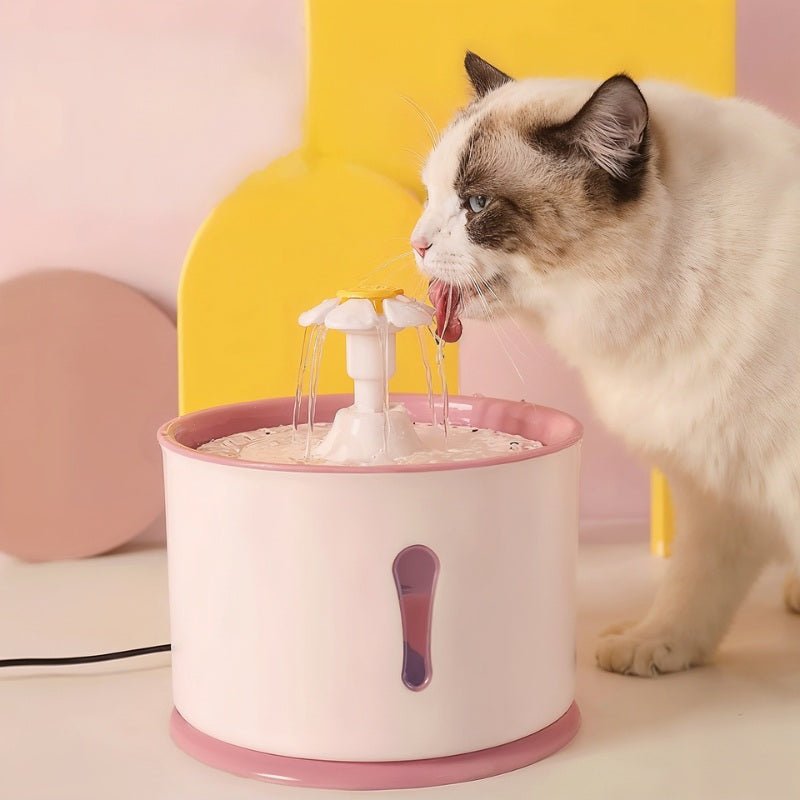 Fontaine a eau pour chat rose