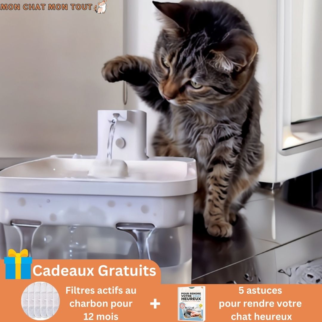Fontaine à eau pour chat | MonChatEaudeLune™ - Mon chat mon tout