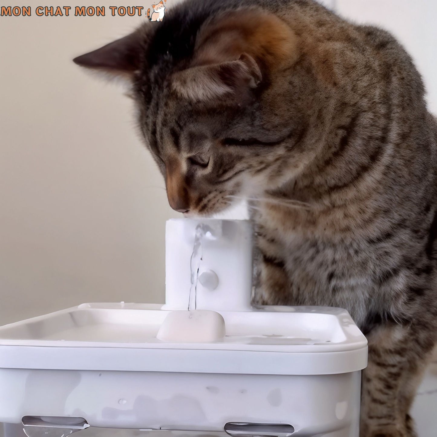 Fontaine à eau pour chat | MonChatEaudeLune™ - Mon chat mon tout