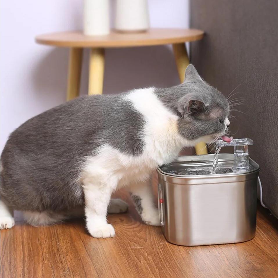 fontaine à eau pour chat cadeaux filtres
