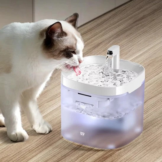 fontaine à eau pour chat boit fontaine