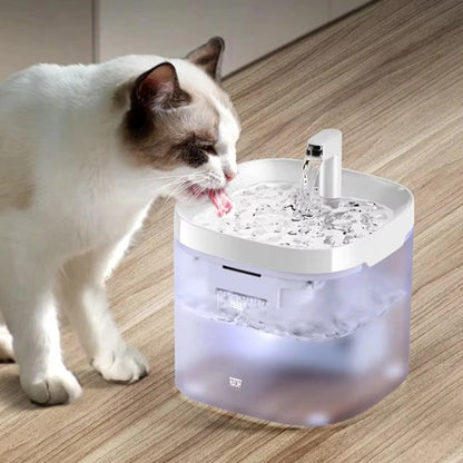 fontaine à eau pour chat boit fontaine