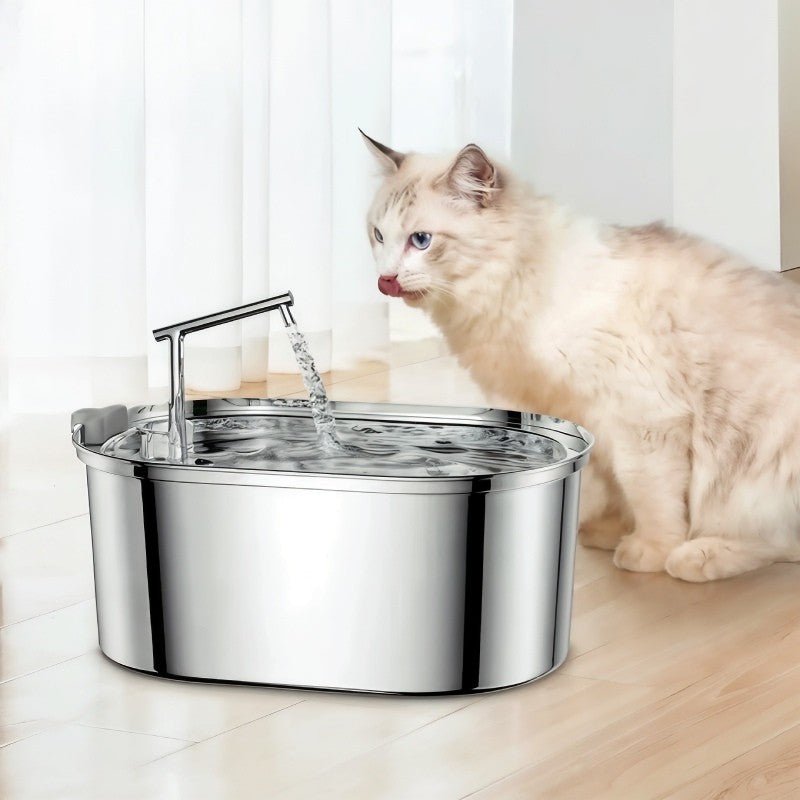 fontaine a eau pour chat assis côté