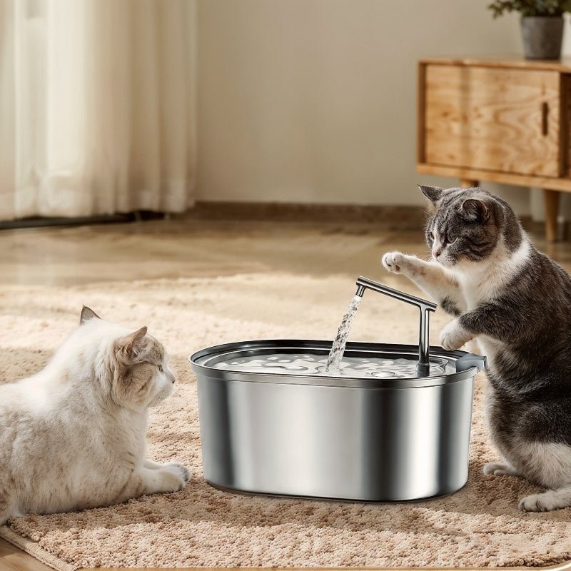 fontaine a eau pour chat avec 2 chats