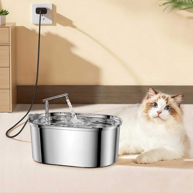 fontaine a eau pour chat pose chat
