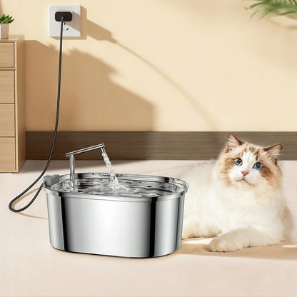 fontaine a eau pour chat pose chat