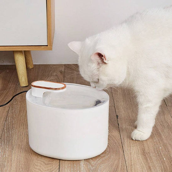 fontaine chat monchathydra blanc chat boit