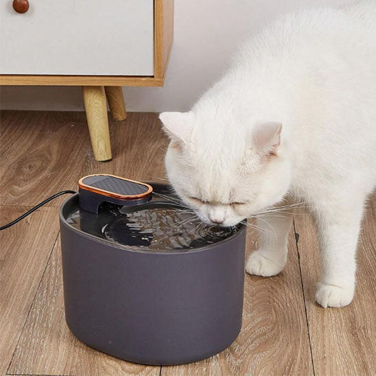 fontaine chat monchathydra modèle noir