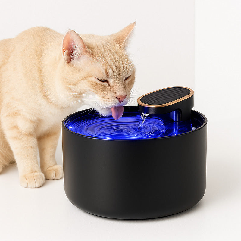 fontaine chat monchathydra noir rétro éclairage chat boit