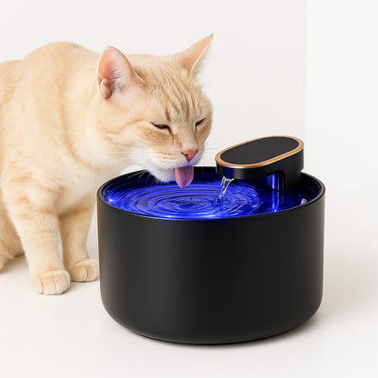 fontaine chat monchathydra noir rétro éclairage chat boit