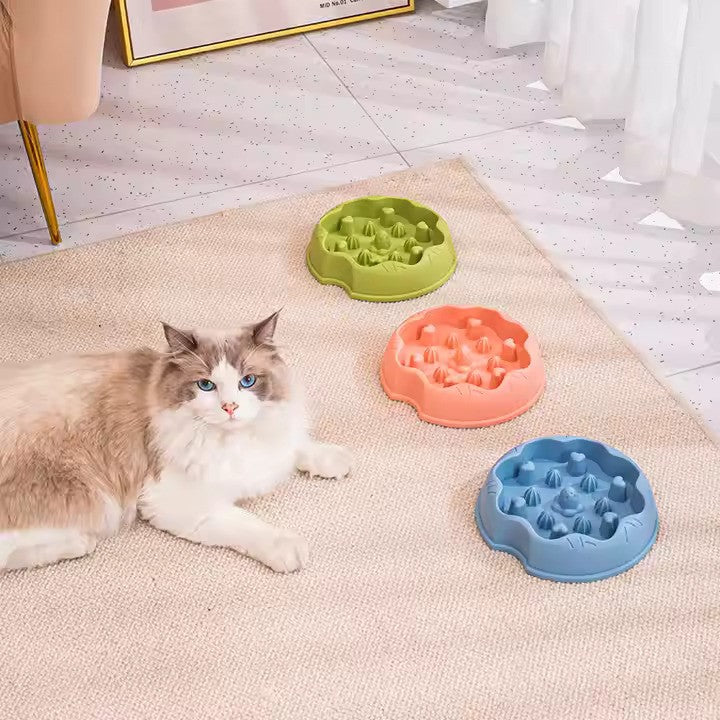 gamelle-anti-glouton-3-couleurs-tapis