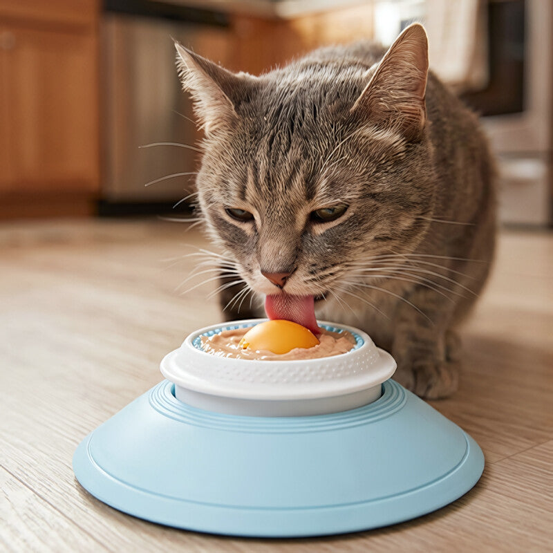 Gamelle anti glouton chat DigestiSlow digestion progressive