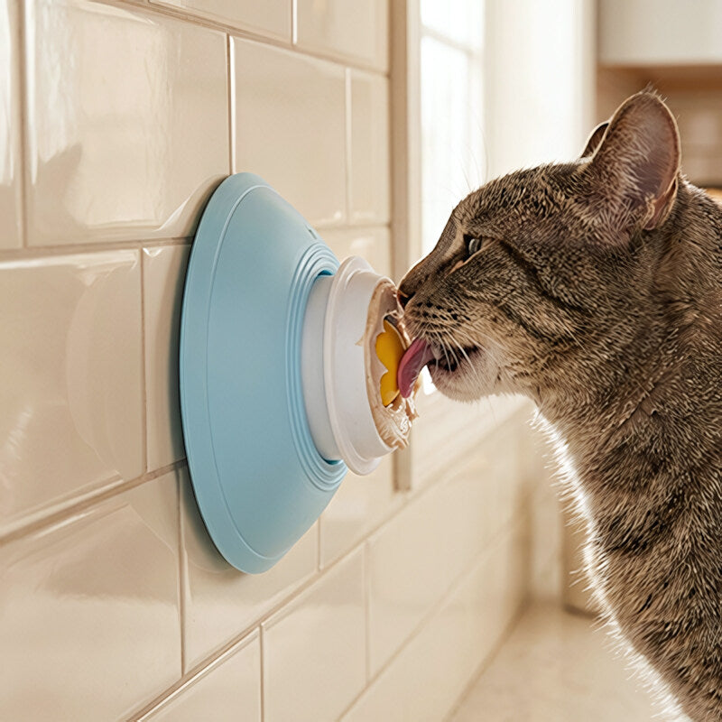 Gamelle anti glouton chat DigestiSlow installation partout
