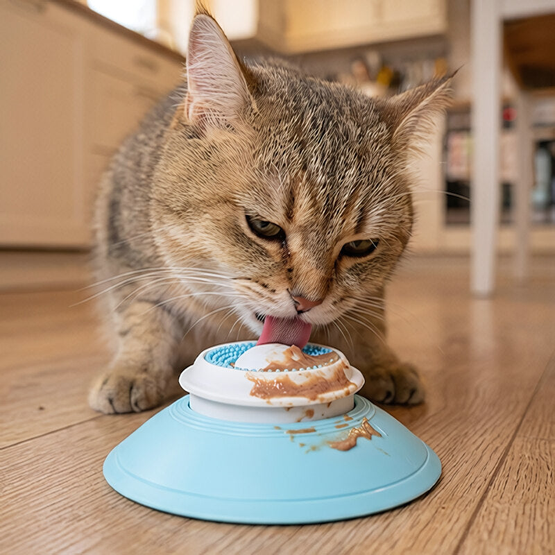 Gamelle anti glouton chat DigestiSlow stimulation mentale