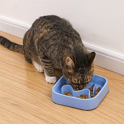 Gamelle anti glouton Chat carré bleu