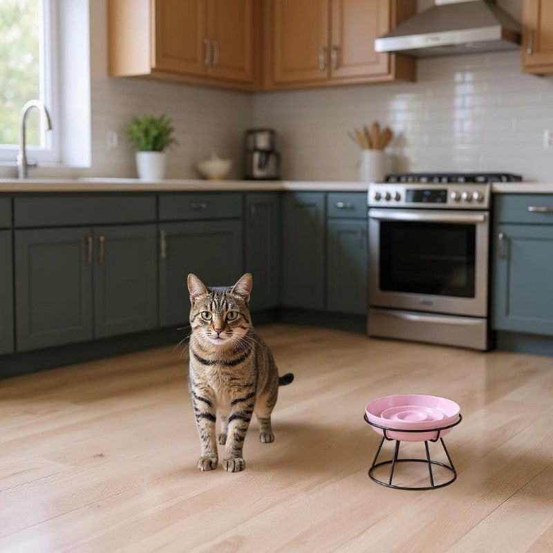 gamelle anti glouton chat rose avec support