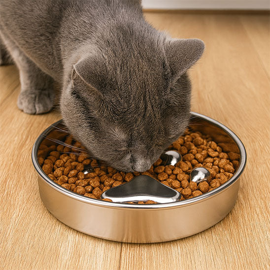 Gamelle anti glouton chat MonChatNivore mange calmement