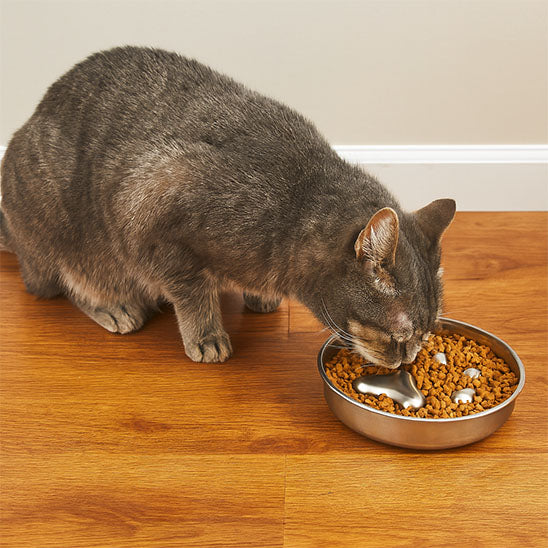 Gamelle anti glouton chat MonChatNivore pour réguler son alimentation