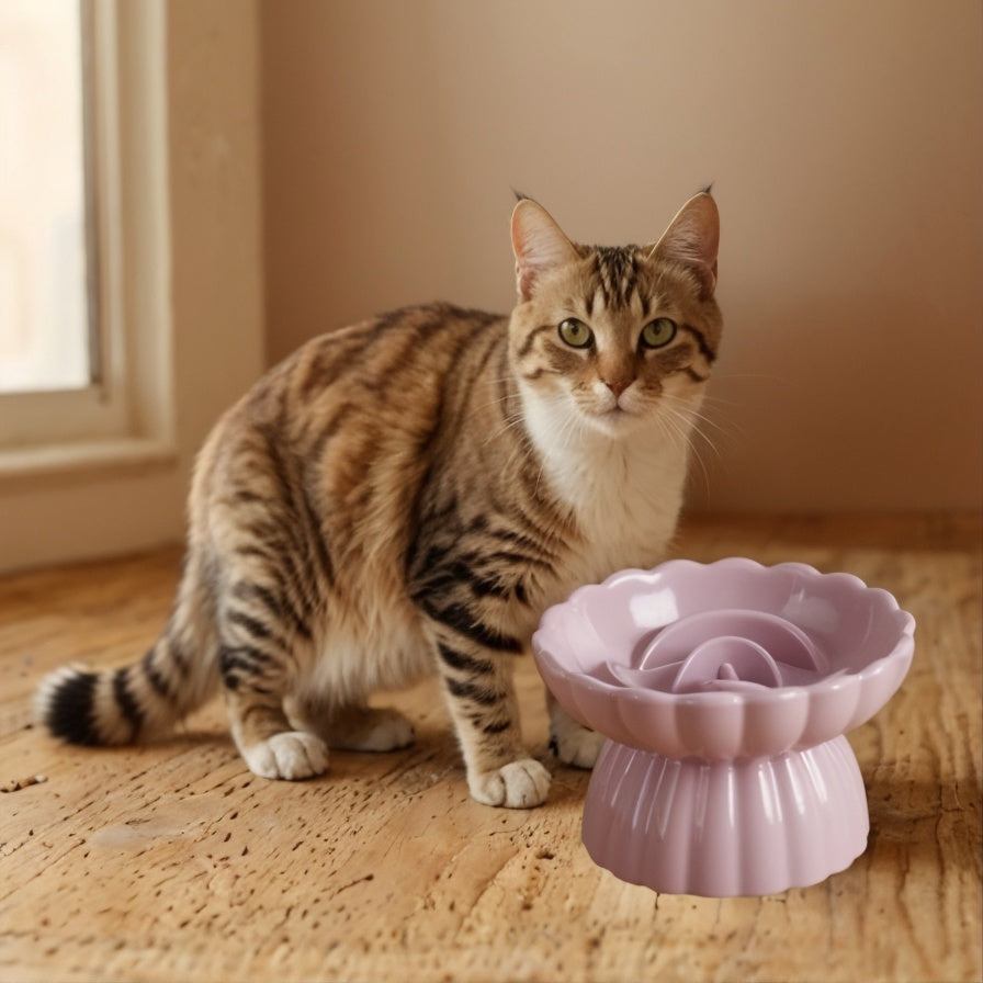 gamelle-anti-glouton-chat-violet-céramique