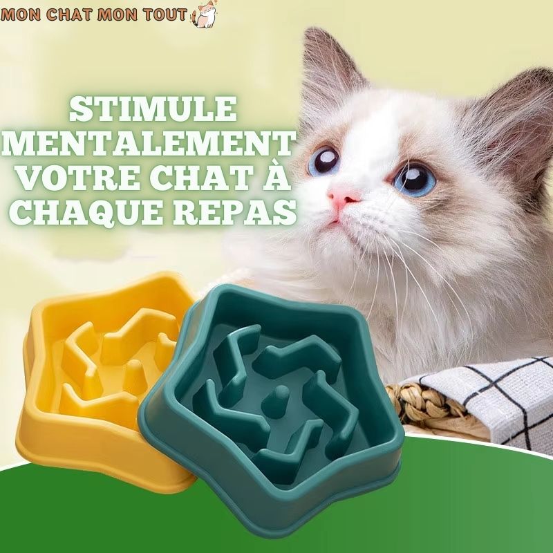 gamelle-anti-glouton-chat