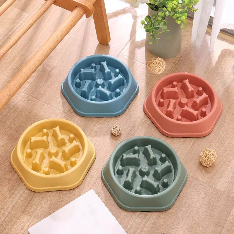 Gamelle anti glouton assortiment