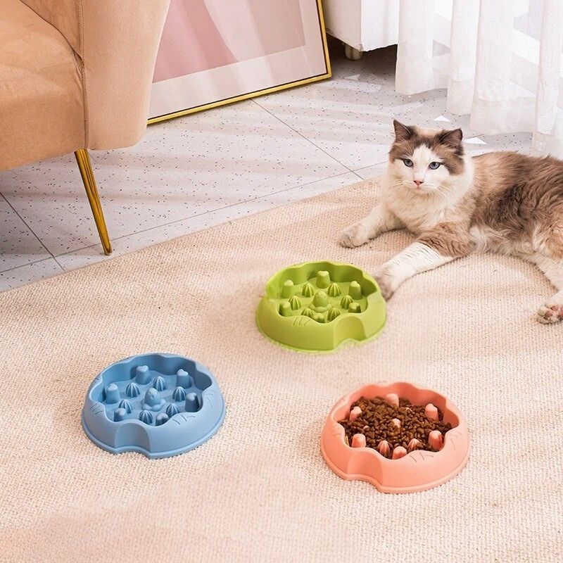 gamelle anti-glouton 3 couleurs tapis