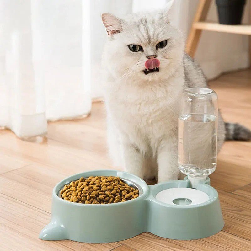 Gamelle chat bleu vert babines