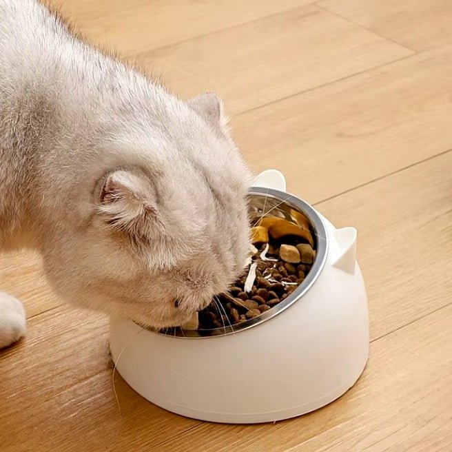 Gamelle chat blanc