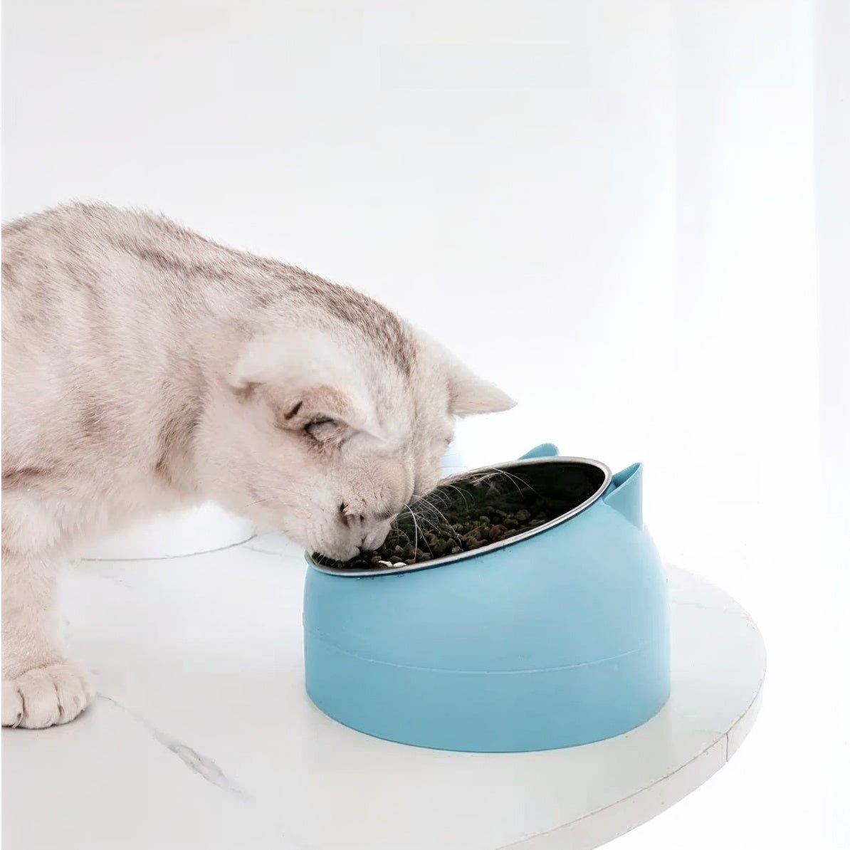 Gamelle chat bleu